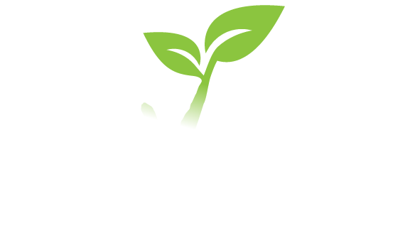 Ayos